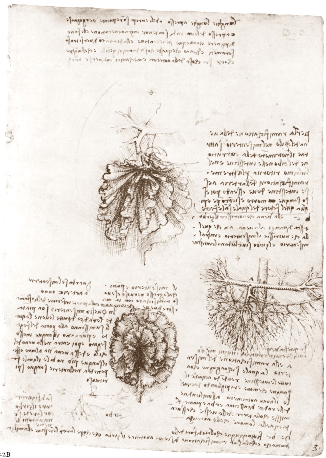 Leonardo+da+Vinci-1452-1519 (785).jpg